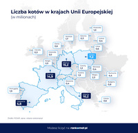 Liczba kotów w krajach Unii Europejskiej