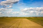 CIT: Dzierżawa gruntów rolnych to nie działalność rolnicza