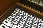 Prywatna kolekcja owadów: sprzedaż bez podatku dochodowego