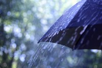 Podatek od deszczu - kogo obowiązuje i ile wynosi?