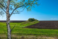 Opodatkowanie VAT przy sprzedaży gruntu rolnego oraz budowlanego