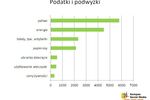 Polscy internauci a obciążenia podatkowe