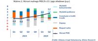 Wzrost realnego PKB (% r/r) i jego składowe 