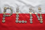 Polska gospodarka i złotówka w 2018 roku. A co czeka nas w 2019 r.?