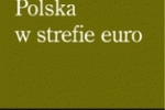 Polska w strefie euro - o co chodzi?