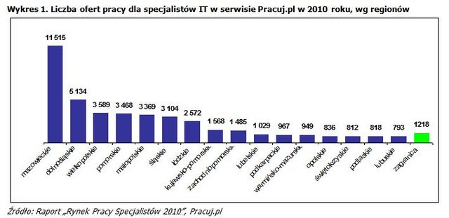 Polski rynek pracy specjalistów IT 2010