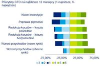 Polskie firmy stawiają na wzrost przychodów