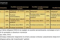 Portfel inwestycyjny: będzie ciężko zarobić Portfel inwestycyjny: będzie ciężko zarobić