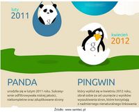 Panda i Pingwin