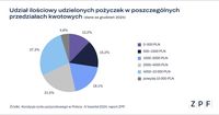 Udział ilościowy udzielonych pożyczek w poszczególnych przedziałach kwotowych