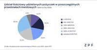 Udział ilościowy udzielonych pożyczek w poszczególnych przedziałach kwotowych