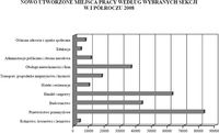 Nowo utworzone miejsca pracy według wybranych sekcji w I półroczu 2008