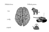 Schemat działania dwóch półkul mózgowych
