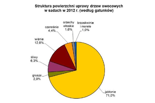 Produkcja ogrodnicza w Polsce 2012