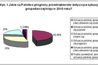 KPP: polskie przedsiębiorstwa i ich plany na 2010r.