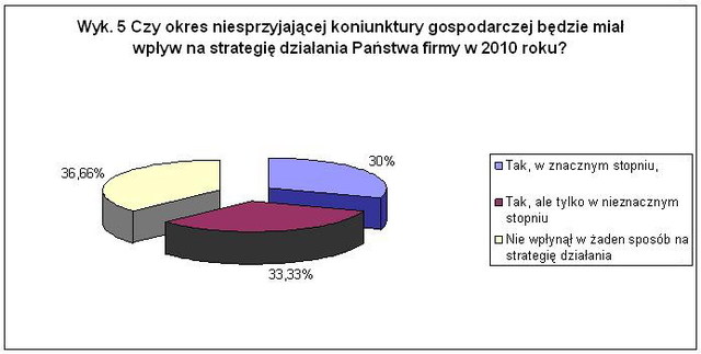 KPP: polskie przedsiębiorstwa i ich plany na 2010r.