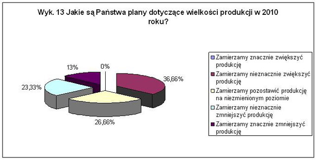 KPP: polskie przedsiębiorstwa i ich plany na 2010r.