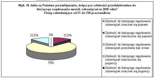 KPP: polskie przedsiębiorstwa i ich plany na 2010r.