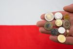 Jakie skutki reformy przepisów fiskalnych Unii Europejskiej dla Polski?