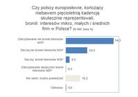 Czy polscy europosłowie bronili  interesów MSP w Polsce? 