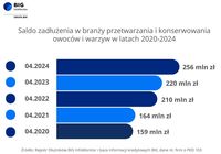 Saldo zadłużenia w branży przetwarzania i konserwowanie warzyw i owoców