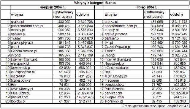 Statystyki polskiego Internetu - VIII 2004