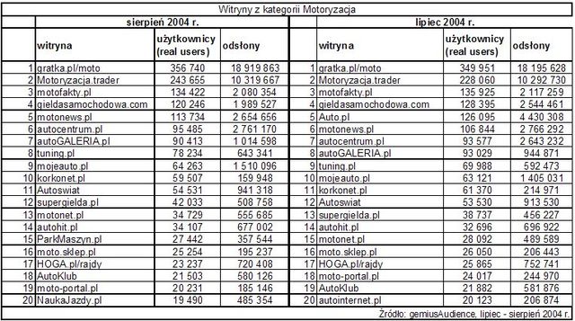 Statystyki polskiego Internetu - VIII 2004