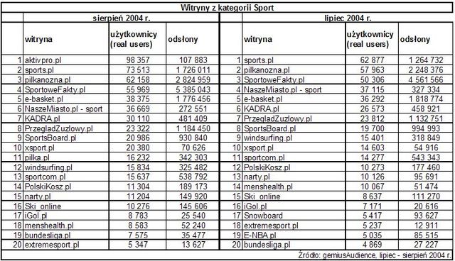 Statystyki polskiego Internetu - VIII 2004