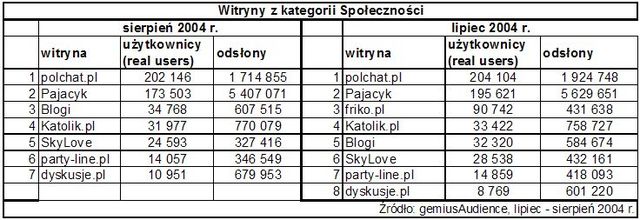 Statystyki polskiego Internetu - VIII 2004