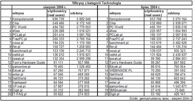 Statystyki polskiego Internetu - VIII 2004