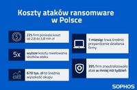 Koszty ataków ransomware w Polsce