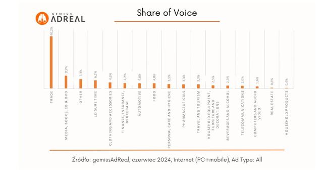 Reklama w internecie, telewizji i w radio VI 2024