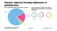 Wybrane formaty reklamowe w polskiej sieci