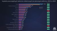 Wydatki poszczególnych sektorów reklamowych, H1 2024 vs H1 2023