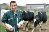 Gospodarstwa rolne: koniunktura VI 2013