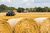 Firma i gospodarstwo rolne: faktury, ewidencje i deklaracje VAT