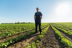 VAT w rolnictwie przy firmie: status rolnika ryczałtowego