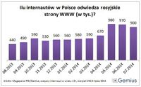 Polscy internauci odwiedzający rosyjskie strony WWW
