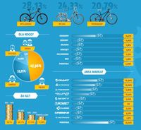 Jakich rowerów szukają internauci?