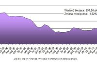 Ceny transakcyjne nieruchomości VI 2010