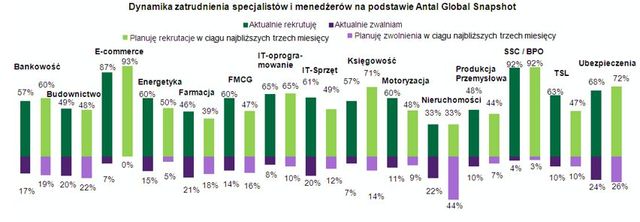 Tendencje na rynku pracy specjalistów I kw. 2013