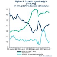 Wykres 2. Czynniki ograniczające produkcję