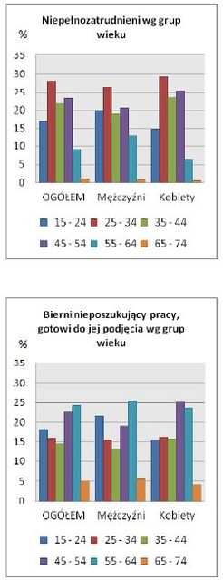 Niewykorzystane potencjalne zasoby pracy