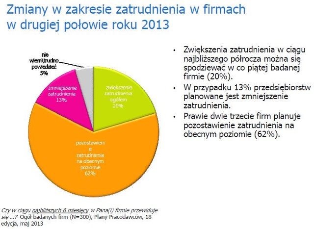 Plany polskich pracodawców V 2013