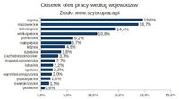 Odsetek ofert pracy wg województw