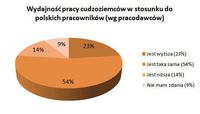 Wydajność pracy cudzoziemców w stosunku do polskich pracowników