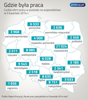 Liczba ofert w podziale na województwa
