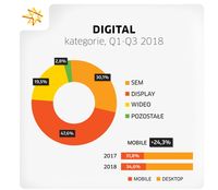 Udział poszczególnych kategorii reklamy w wydatkach na reklamę digital po Q3 2018  