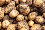 Ceny produktów rolnych XI 2019. Ziemniaki 93% droższe niż rok temu