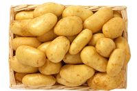 GUS: ceny produktów rolnych w górę, tanieją ziemniaki